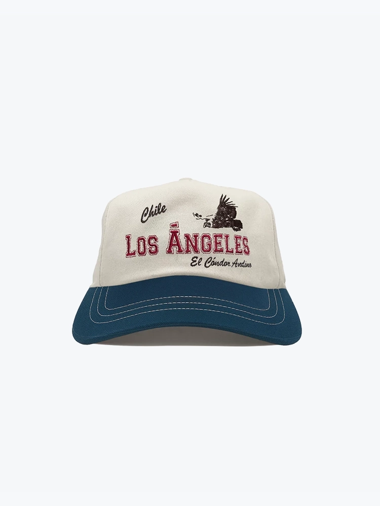 Visit Visit - Capvisit Losangeles - Petten - Heren Multi Petten