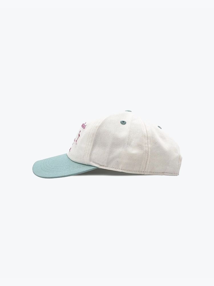 Visit Visit - Capvisit Lascoloradas - Petten - Heren Multi Petten