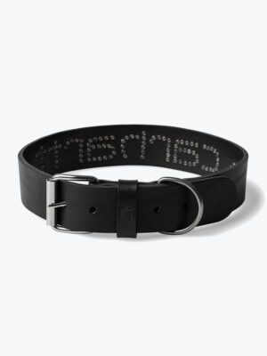 Carhartt WIP - Script Studs Dog Collar Black - M/L - Goodies - Heren