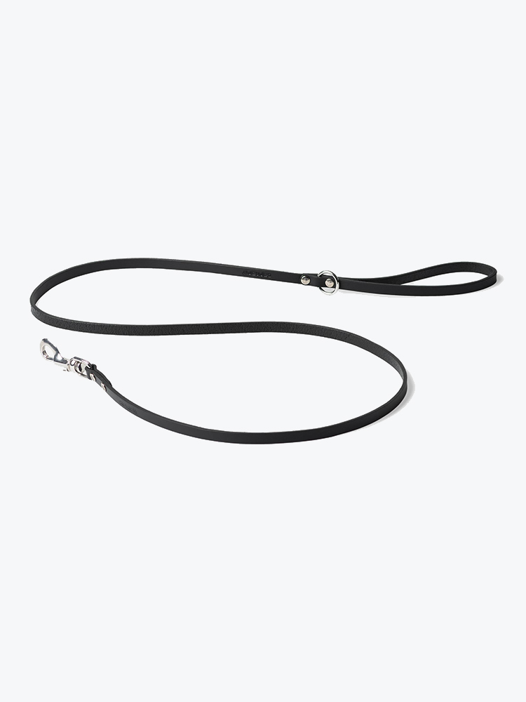 Carhartt WIP Carhartt WIP - Script Studs Dog Leash Black - Goodies - Heren Zwart Goodies